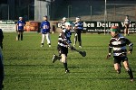Fe10vSars10