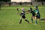 IMG70743