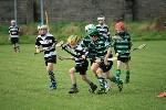 IMG71167