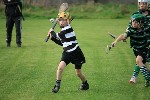 IMG71198
