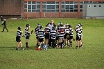 IMG717011