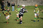 IMG720613