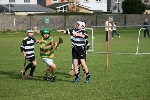 IMG724515