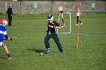 IMG726117
