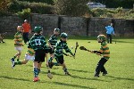 IMG731119