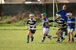IMG733823