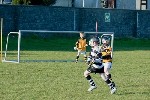 NaPairsaigh08