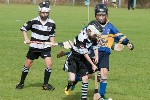 Roanmore201103
