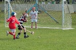 Roanmore201104