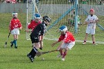 Roanmore201106