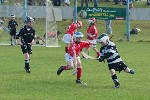 Roanmore201107