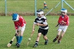 Roanmore201108