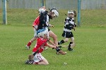 Roanmore201110