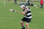 Roanmore201111