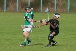 Roanmore201112