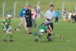 Roanmore201114