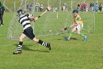 Roanmore201115