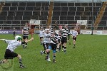 2013SHCFVSars-27