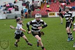 2013SHCFVSars-40