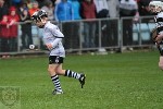 2013SHCFVSars-41