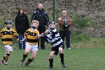 Fe 10 V Na Pairsaigh 6