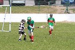 Fe10vFrONeills7