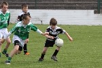 Fe11vSamMaguires02