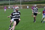 2012Fe15CountyHurlingFinal08