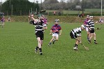 2012Fe15CountyHurlingFinal10