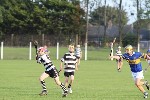 Fe14HCvCarrig04
