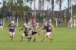 Fe14HCvCarrig05