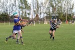 Fe14HCvCarrig06