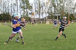 Fe14HCvCarrig07