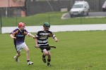 Fe14VKCrokesApr06