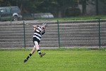Fe14VKCrokesApr07