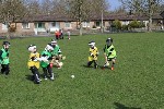 SnrInfants20112