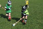 SnrInfants20114