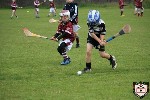 Fe8BishopstownBlitz-1.jpg