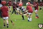 Fe8BishopstownBlitz-4.jpg