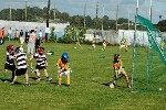Fe8Roanmore-5.jpg