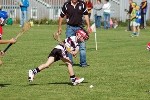 Fe8Roanmore-8.jpg