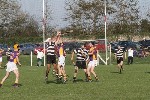 2011ECJBHCFinal09