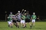 2011JBECHC07