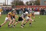 2011JCHCF13