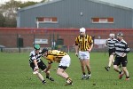 2011JCHCF16