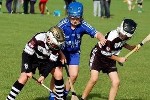 Fe10BlitzCBS-13.jpg