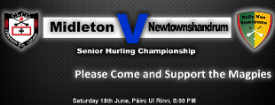 Senior Hurling County Championship