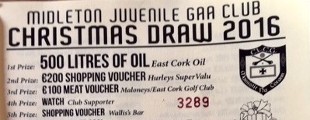 Juvenile Christmas Draw Prize Winners